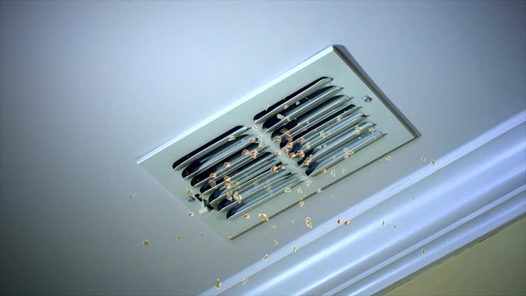 Best Air Duct Cleaning Near Me  in French Island, WI