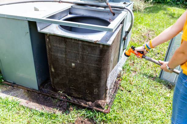 Best Air Vent Cleaning Services  in French Island, WI